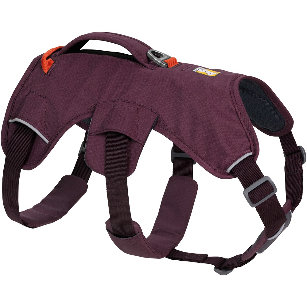 Webmaster sur le harnais pour chien, Ruffwear