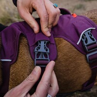 Webmaster sur le harnais pour chien, Ruffwear