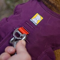 Webmaster sur le harnais pour chien, Ruffwear