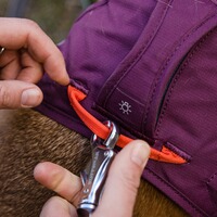 Webmaster sur le harnais pour chien, Ruffwear