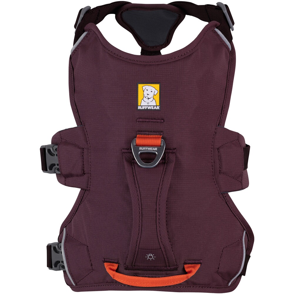 Webmaster sur le harnais pour chien, Ruffwear