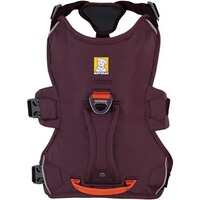 Webmaster sur le harnais pour chien, Ruffwear