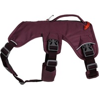 Webmaster sur le harnais pour chien, Ruffwear