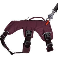 Webmaster sur le harnais pour chien, Ruffwear