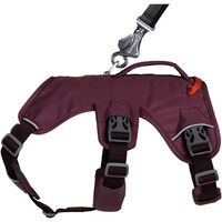 Webmaster sur le harnais pour chien, Ruffwear