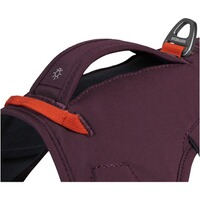 Webmaster sur le harnais pour chien, Ruffwear