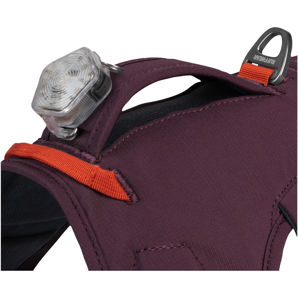 Webmaster sur le harnais pour chien, Ruffwear