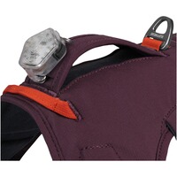 Webmaster sur le harnais pour chien, Ruffwear