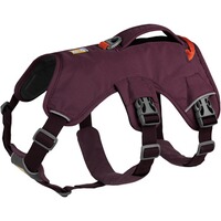 Webmaster sur le harnais pour chien, Ruffwear