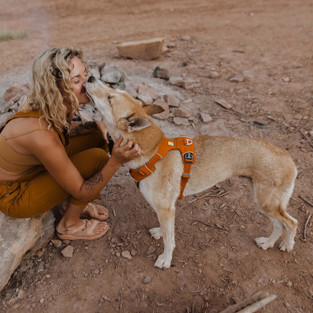 Hundegeschirr Front Range®, Ruffwear