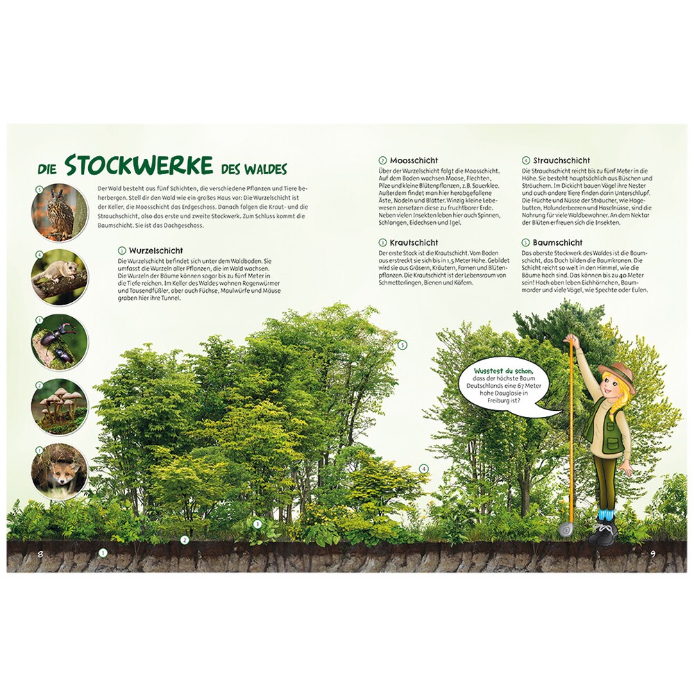 Book: Things are going well in the forest