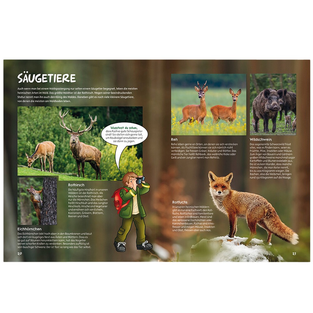 Book: Things are going well in the forest