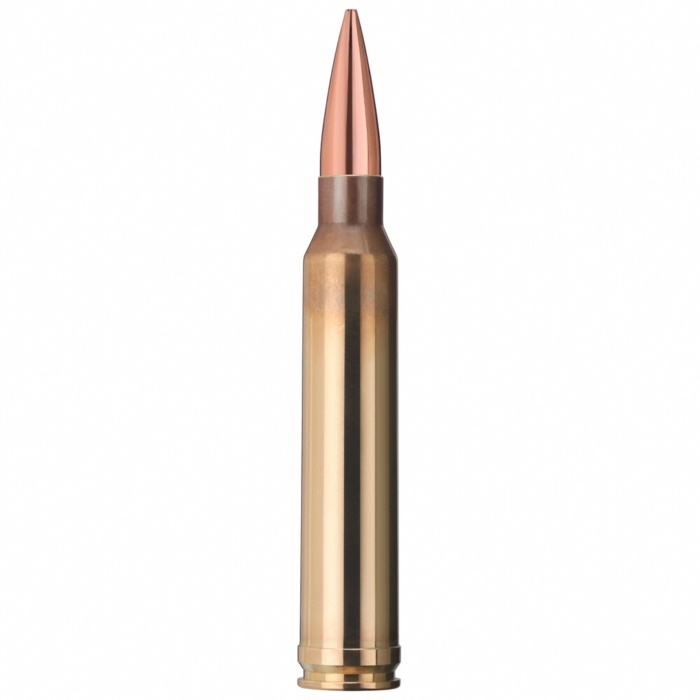 .300 Win. Mag. Target HP 12,3g/190grs., Geco