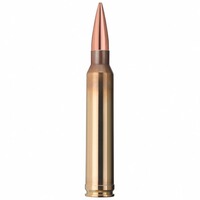 .300 Win. Mag. Target HP 12,3g/190grs., Geco