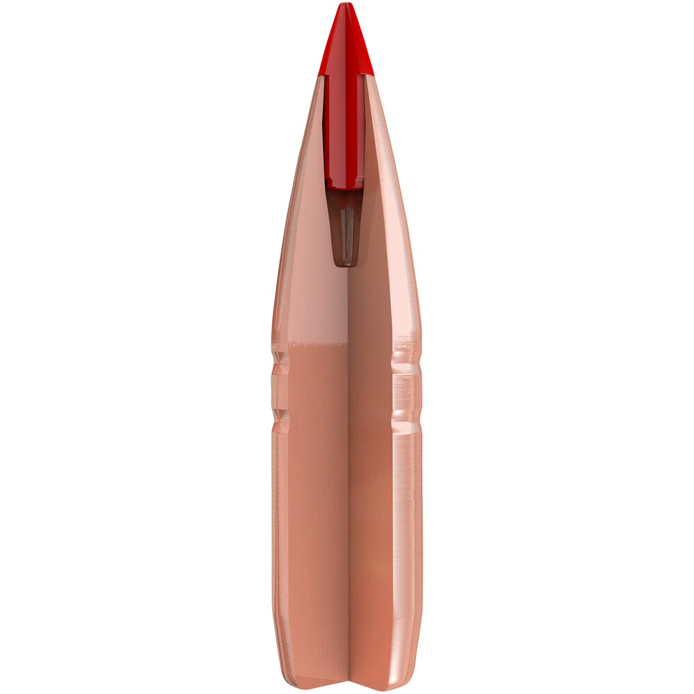 Geschosse .243 (6 mm) 5,8/90grs. CX, Hornady