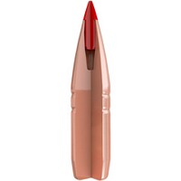 Geschosse .243 (6 mm) 5,8/90grs. CX, Hornady