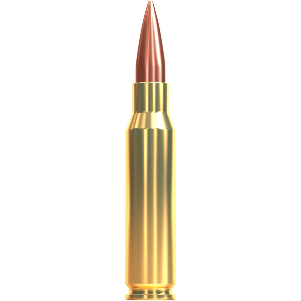.308 Win. Vollmantel Match BT 11,7g/180grs., Sellier & Bellot
