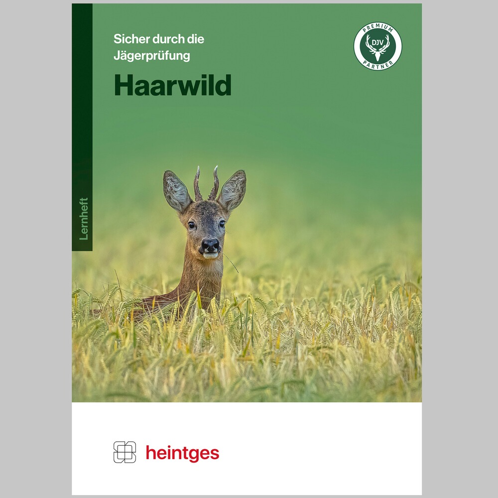 Lernsystem Haarwild