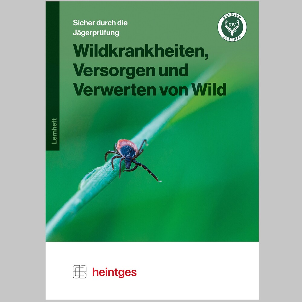 Lernsystem Wildkrankheiten