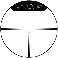 Zielfernrohr Veracity PH 4-20x50, Burris