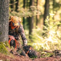 Hundeortungsgerät Halsband Alpha T 20 K, GARMIN