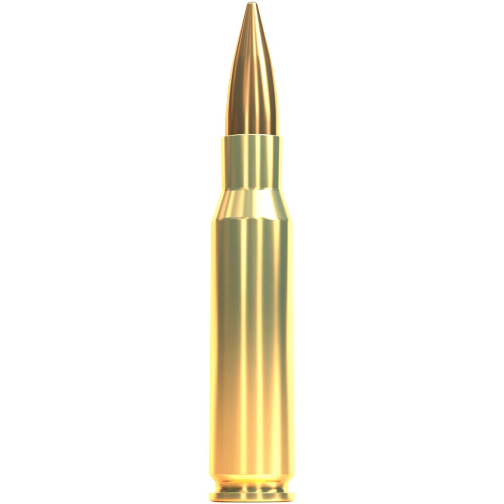 .308 Win. Vollmantel 11,7g/180grs., Sellier & Bellot