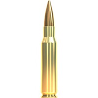 .308 Win. Vollmantel 11,7g/180grs., Sellier & Bellot