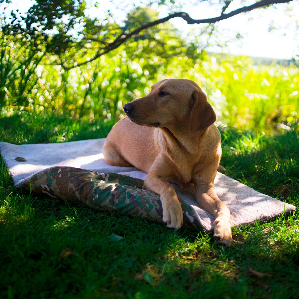 Hundedecke FlexDog Mat, Siccaro