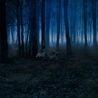 Wildkamera Secacam 7 LTE , ZEISS