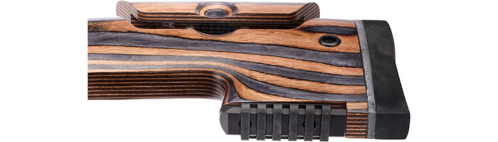 Arbre et amp; #67 ; & #90 ; Portée 600, CZ