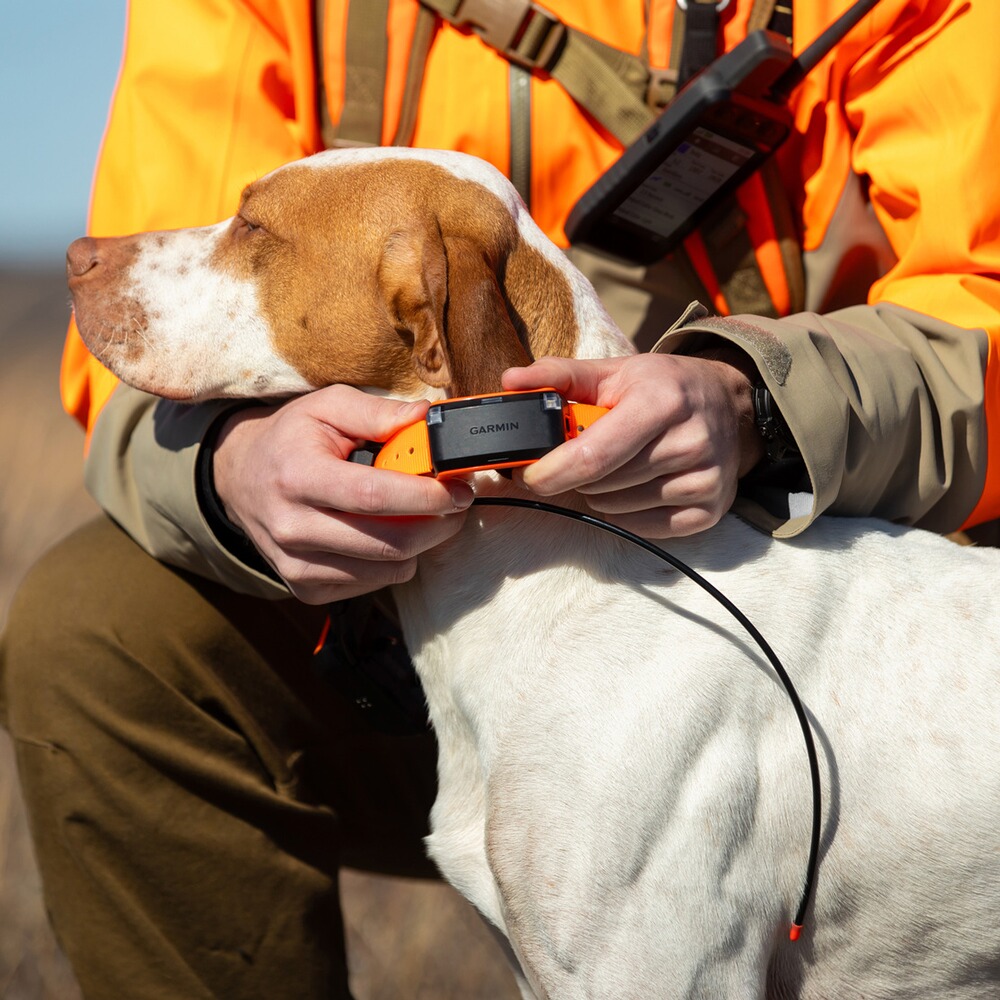Hundeortungsgerät Alpha LTE, GARMIN