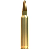 .223 Rem eXergy bleifrei 4,0g/62grs., Sellier & Bellot