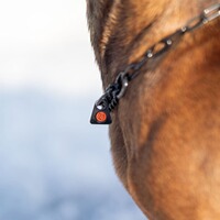 Necklace with tension limiter – long links, Sprenger