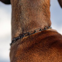 Necklace with tension limiter – long links, Sprenger