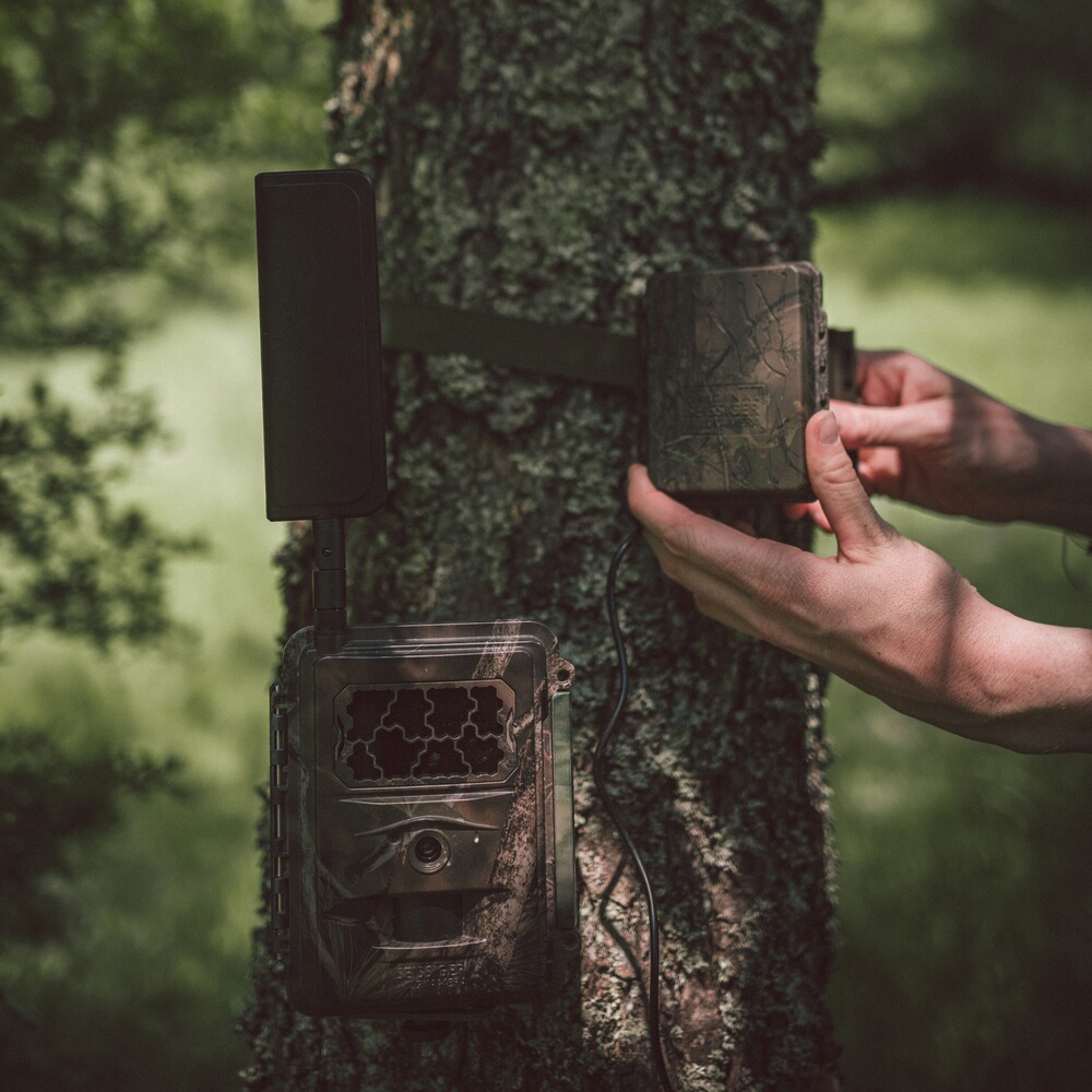 External battery pack for wildlife cameras, Seissiger