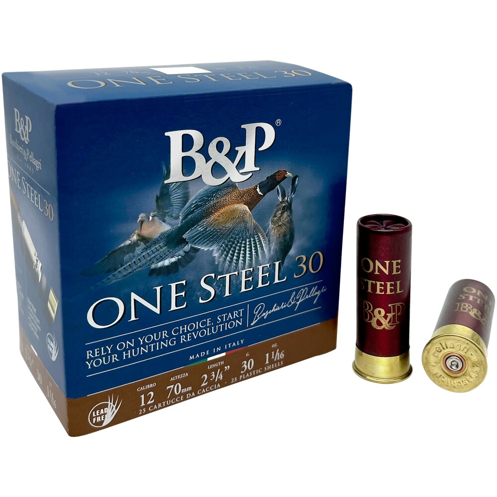 12/70 Un Acier 2,9mm 30g., Baschieri & Pellagri