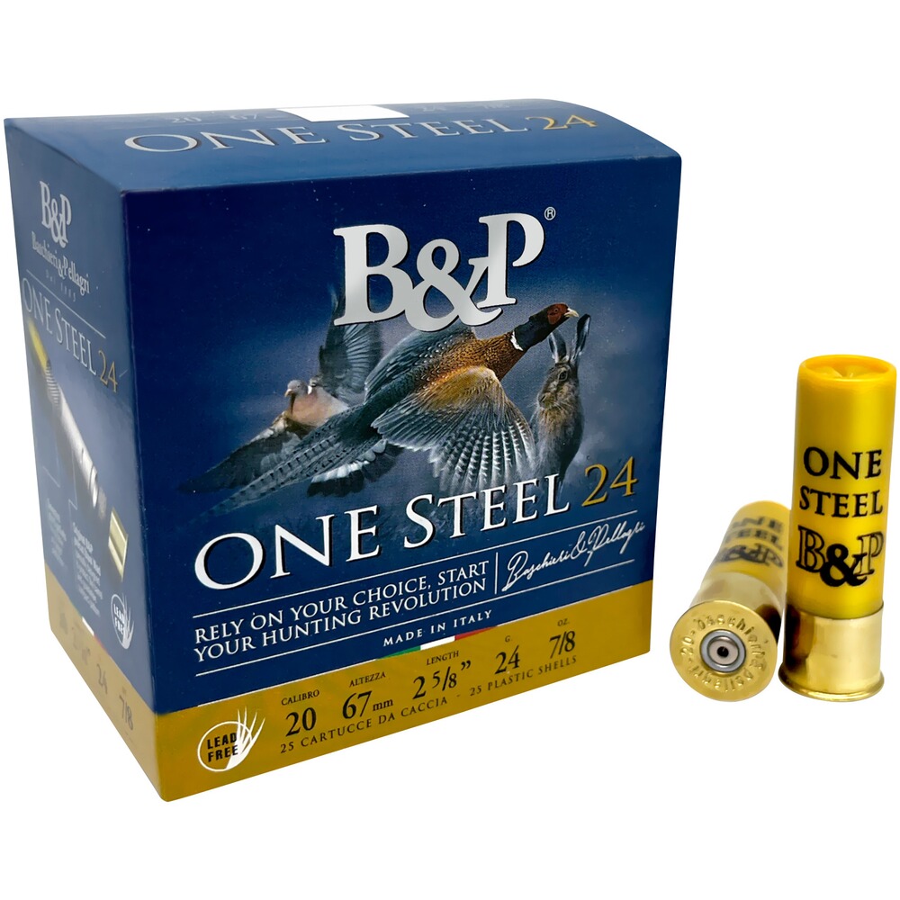 20/67 One Steel 2.7mm 24g., Baschieri & Pellagri