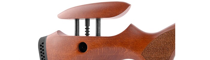 KK-Repetierbüchse R-22 Premium, Diana