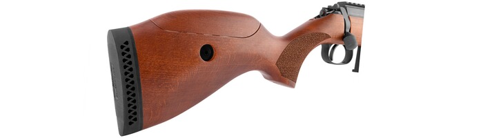 KK-Repetierbüchse R-22 Premium, Diana