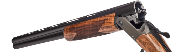 Bockdoppelflinte F16 Game Holzklasse 2, Blaser