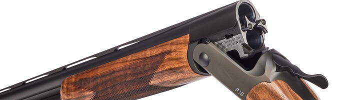 Bockdoppelflinte F16 Game Holzklasse 2, Blaser
