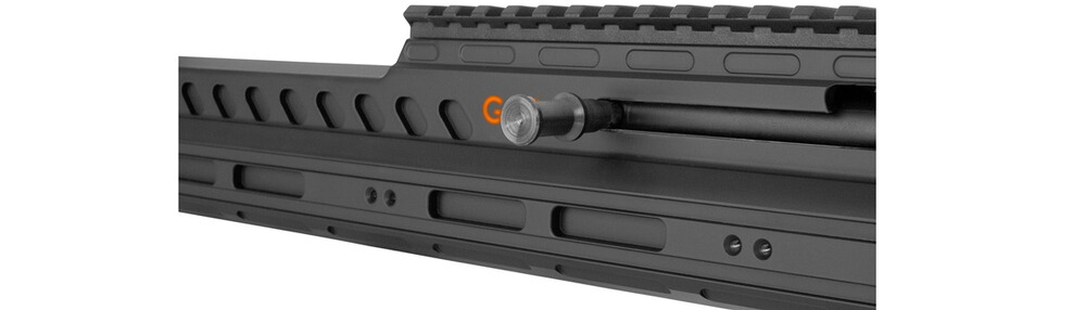 Selbstladebüchse GSG-9 Sport, German Sport Guns