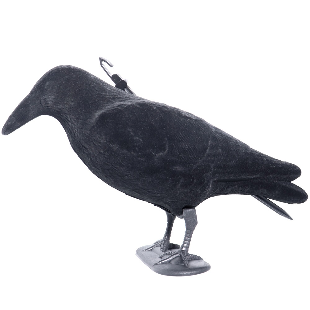Lockvogel Krähe, Parforce