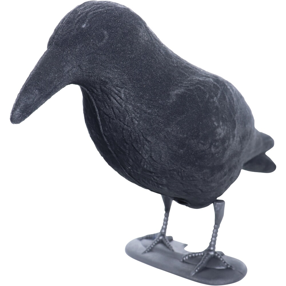 Lockvogel Krähe, Parforce