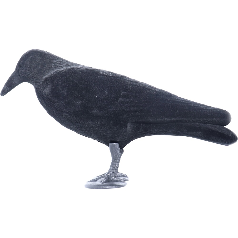 Lockvogel Krähe