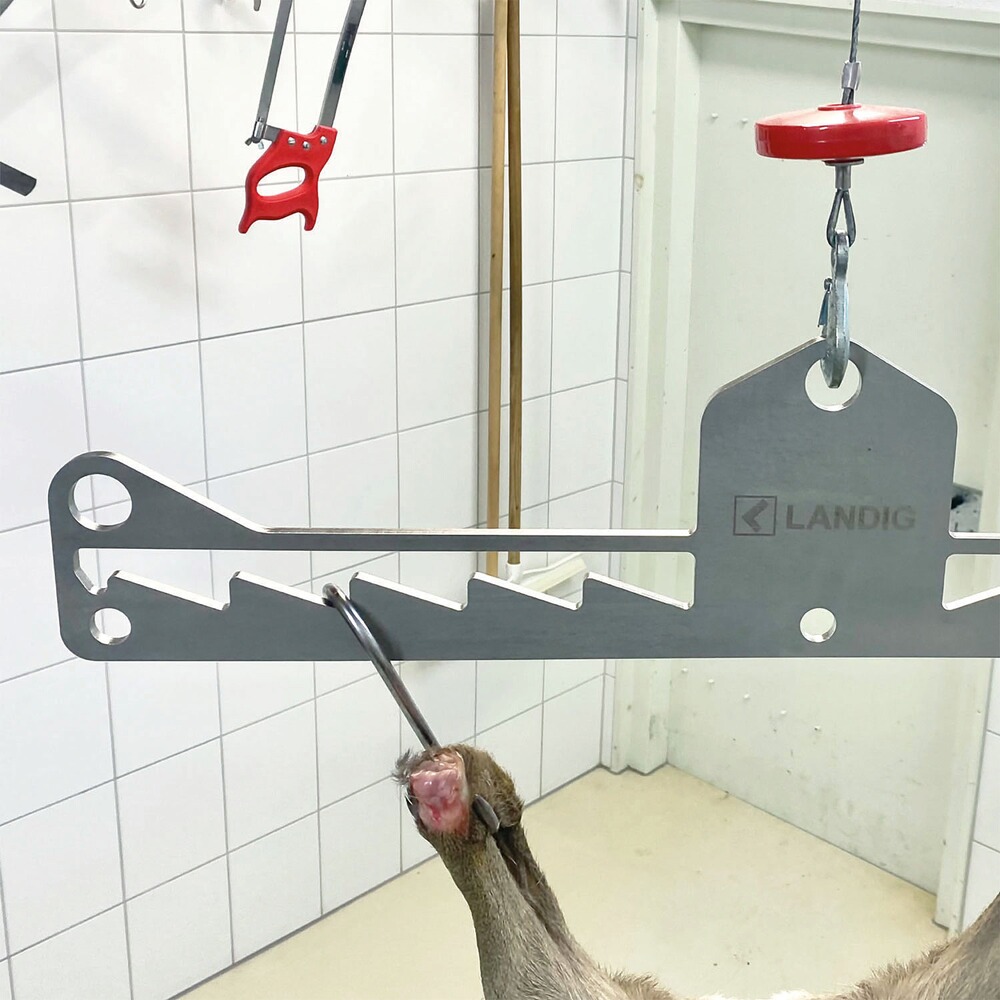 Premium Wildgalgen Edelstahl, Landig