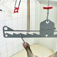 Premium Wildgalgen Edelstahl, Landig