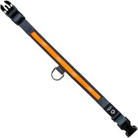 Halsband LED, Blaser