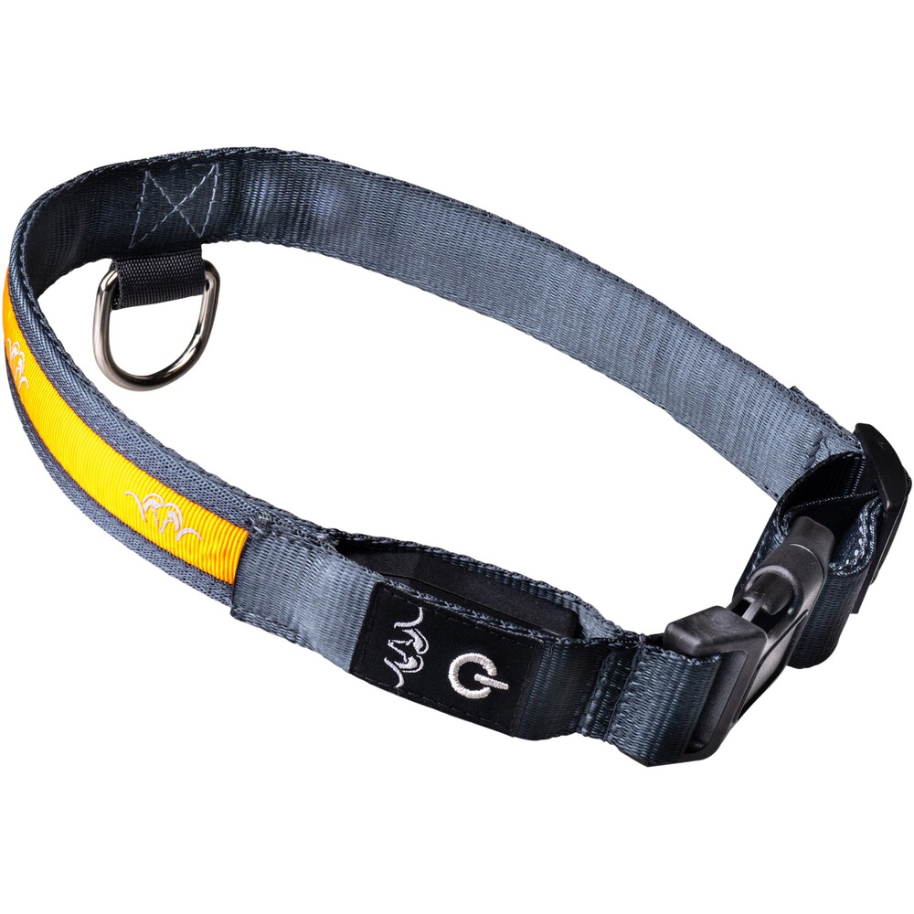 Halsband LED