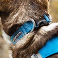 Col Hi & Light, Ruffwear